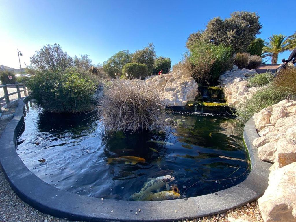 Allesvergeten In Langebaan Country Estate Exterior photo